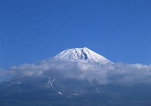 クルーズから見える景色は絶品です