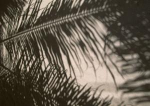 静岡市で贅沢な洋食と和洋中の絶品料理を楽しめる中島屋グランドホテルのテラスレストランの魅力