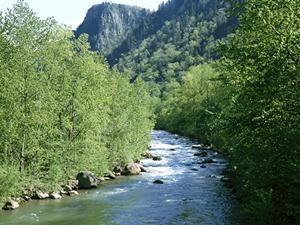 取手駅近くの快適で便利なビジネスホテル【東横INN取手駅東口】の詳細紹介