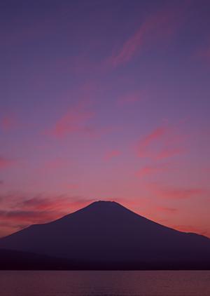 福井駅前のビジネスホテル【東横INN福井駅前】の魅力と詳しい情報