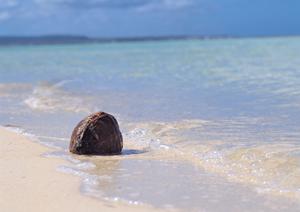 山形駅西口から徒歩4分！快適な滞在を約束する東横INN山形駅西口の魅力と最新情報