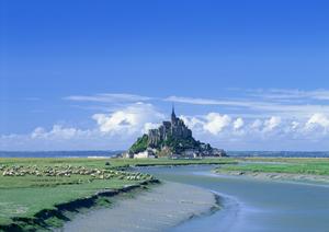 静岡駅からアクセス便利！東横INN静岡駅南口の魅力と特徴徹底紹介