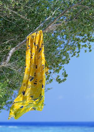 栃木県足利市にある東横INN足利駅北口の魅力と利用ポイントガイド